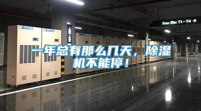 一年總有那麽幾天，91看片软件大全不能停！