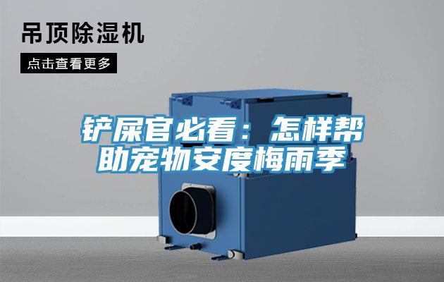 鏟屎官必看：怎樣幫助寵物安度梅雨季