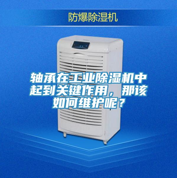 軸承在工業91看片软件大全中起到關鍵作用，那該如何維護呢？