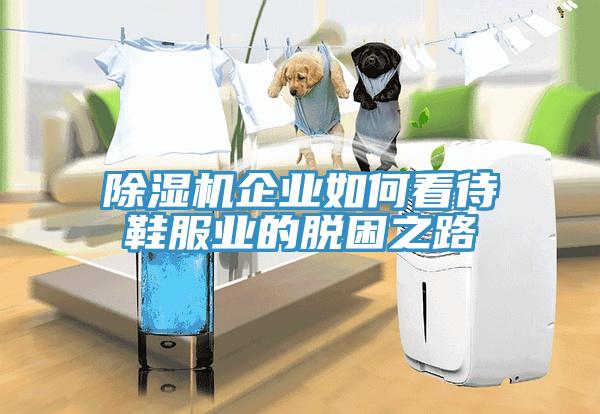 91看片软件大全企業如何看待鞋服業的脫困之路