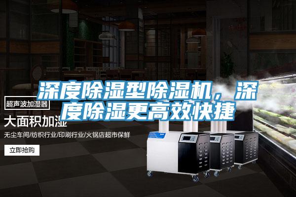 深度除濕型91看片软件大全，深度除濕更高效快捷