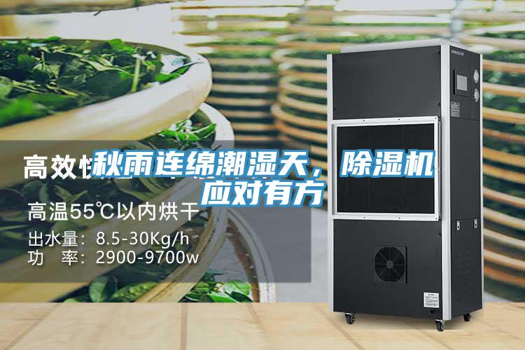 秋雨連綿潮濕天，91看片软件大全應對有方
