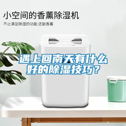 遇上回南天有什麽好的除濕技巧？