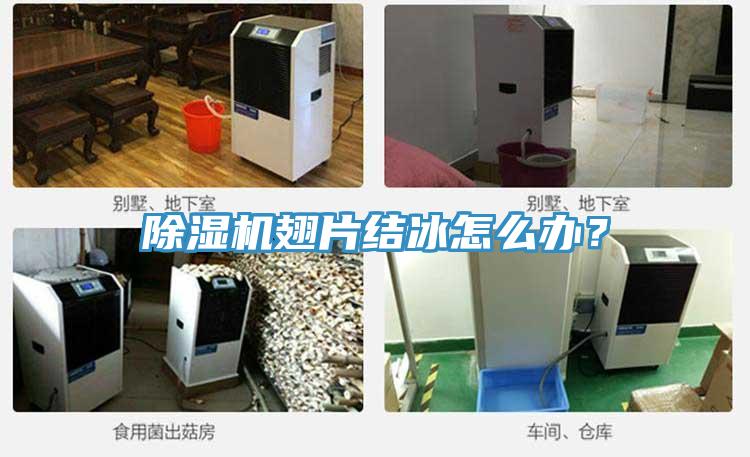 91看片软件大全翅片結冰怎麽辦？