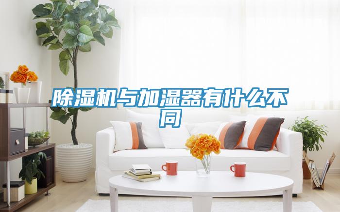91看片软件大全與加濕器有什麽不同