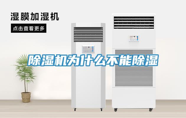 91看片软件大全為什麽不能除濕