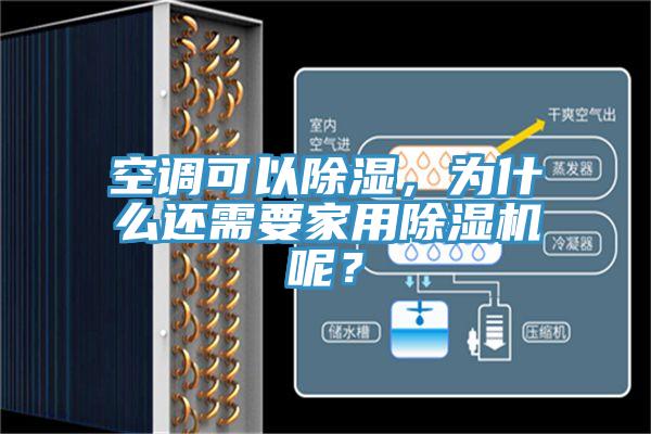 空調可以除濕，為什麽還需要家用91看片软件大全呢？