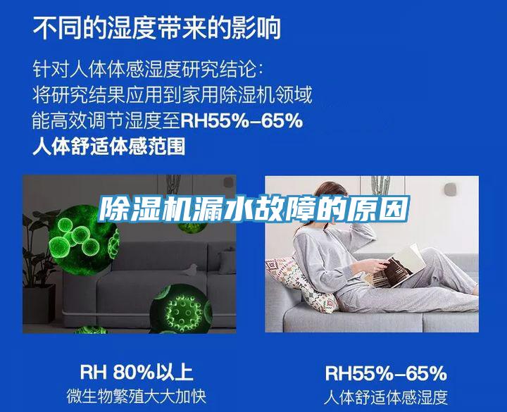 91看片软件大全漏水故障的原因