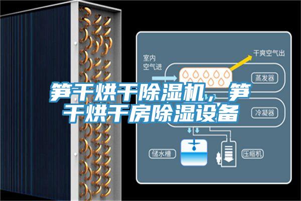 筍幹烘幹91看片软件大全，筍幹烘幹房除濕設備