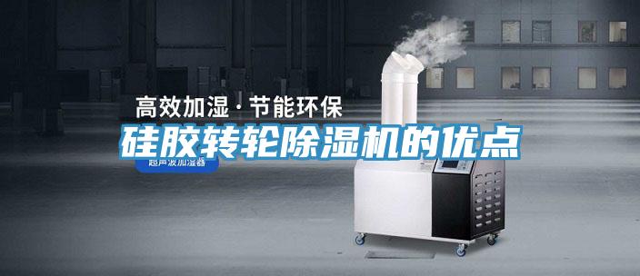 矽膠轉輪91看片软件大全的優點