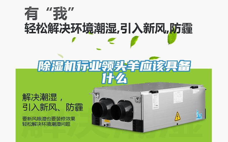 91看片软件大全行業領頭羊應該具備什麽