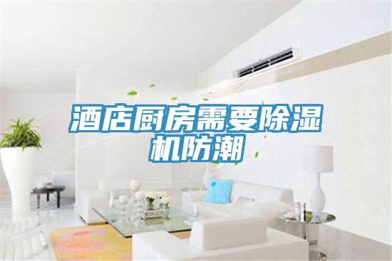 酒店廚房需要91看片软件大全防潮