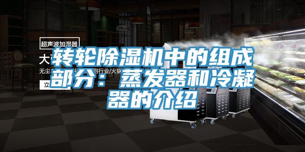 轉輪91看片软件大全中的組成部分：蒸發器和冷凝器的介紹