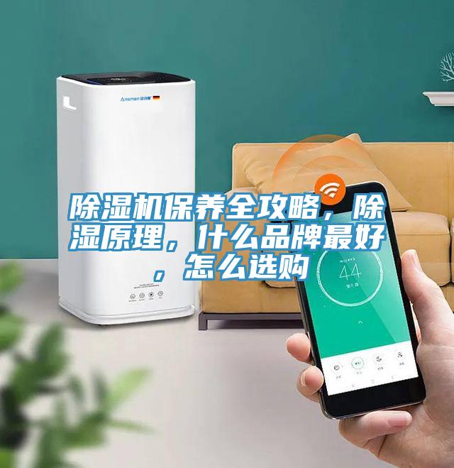 91看片软件大全保養全攻略，除濕原理，什麽品牌最好，怎麽選購