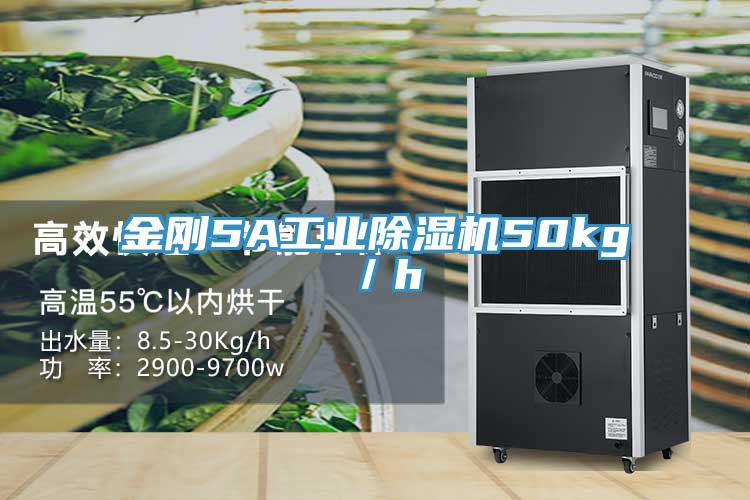 金剛5A工業91看片软件大全50kg／h