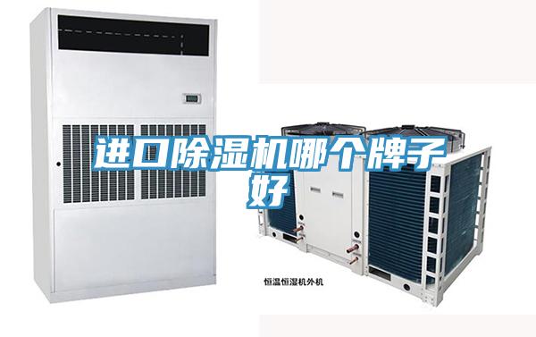 進口91看片软件大全哪個牌子好