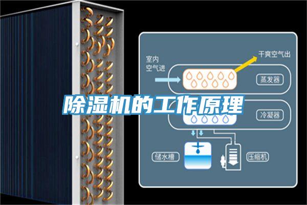 91看片软件大全的工作原理