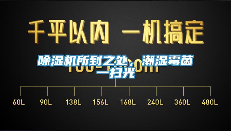 91看片软件大全所到之處，潮濕黴菌一掃光