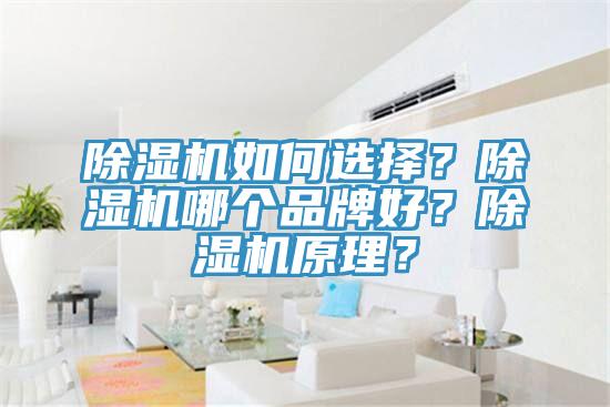91看片软件大全如何選擇？91看片软件大全哪個品牌好？91看片软件大全原理？
