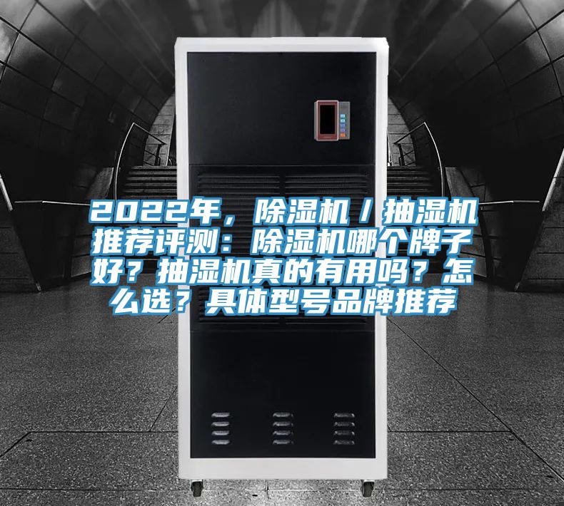 2022年，91看片软件大全／抽濕機推薦評測：91看片软件大全哪個牌子好？抽濕機真的有用嗎？怎麽選？具體型號品牌推薦