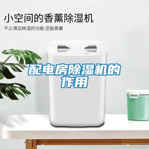 配電房91看片软件大全的作用