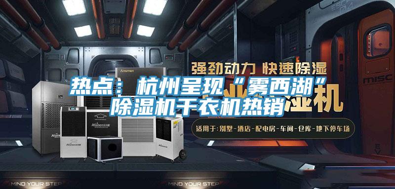 熱點：杭州呈現“霧西湖”91看片软件大全幹衣機熱銷