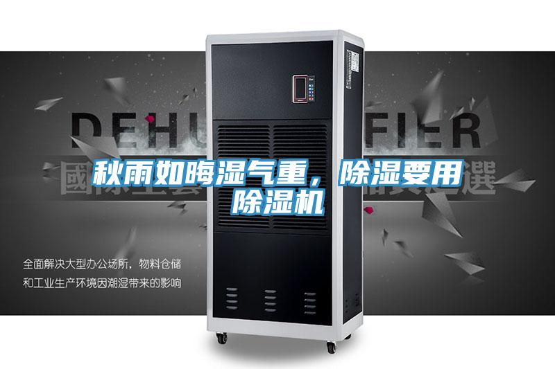 秋雨如晦濕氣重，除濕要用91看片软件大全