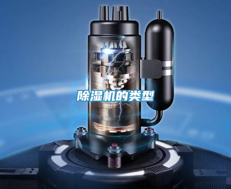 91看片软件大全的類型