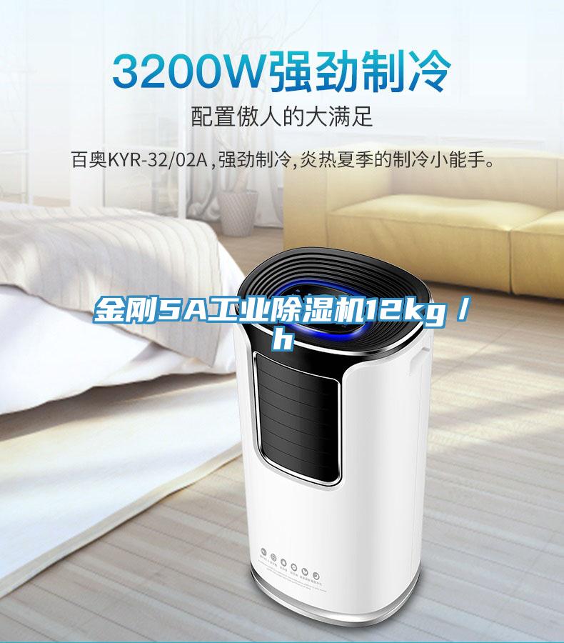 金剛5A工業91看片软件大全12kg／h