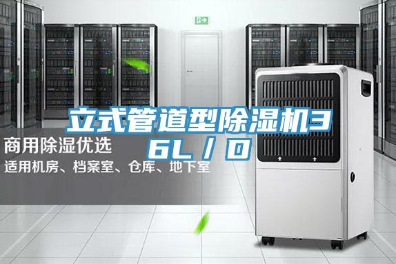 立式管道型91看片软件大全36L／D