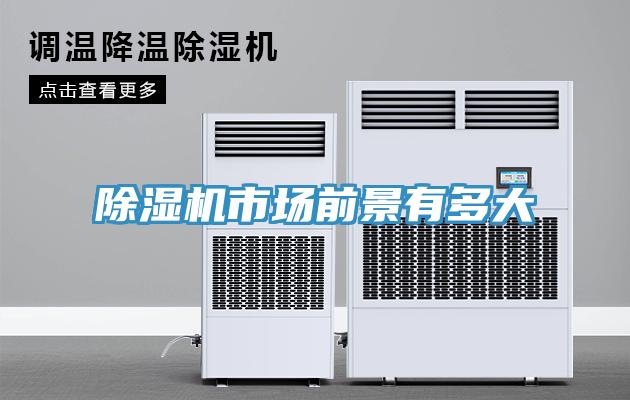 91看片软件大全市場前景有多大