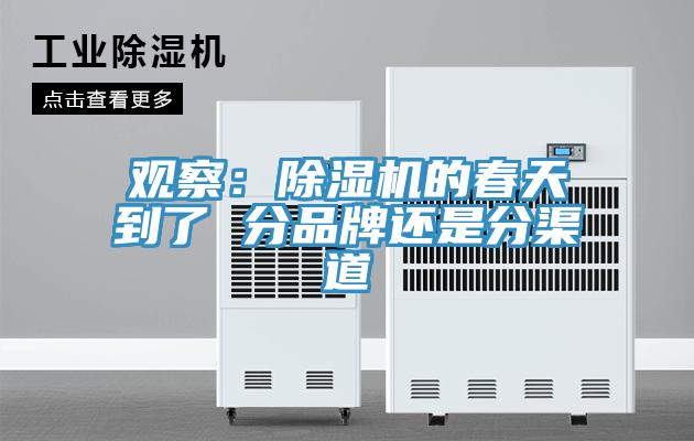 觀察：91看片软件大全的春天到了 分品牌還是分渠道