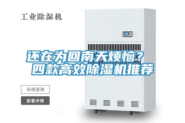 還在為回南天煩惱？ 四款高效91看片软件大全推薦