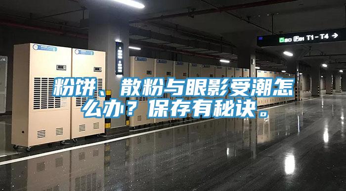 粉餅、散粉與眼影受潮怎麽辦？保存有秘訣。