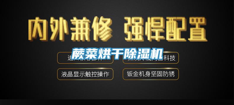 蕨菜烘幹91看片软件大全
