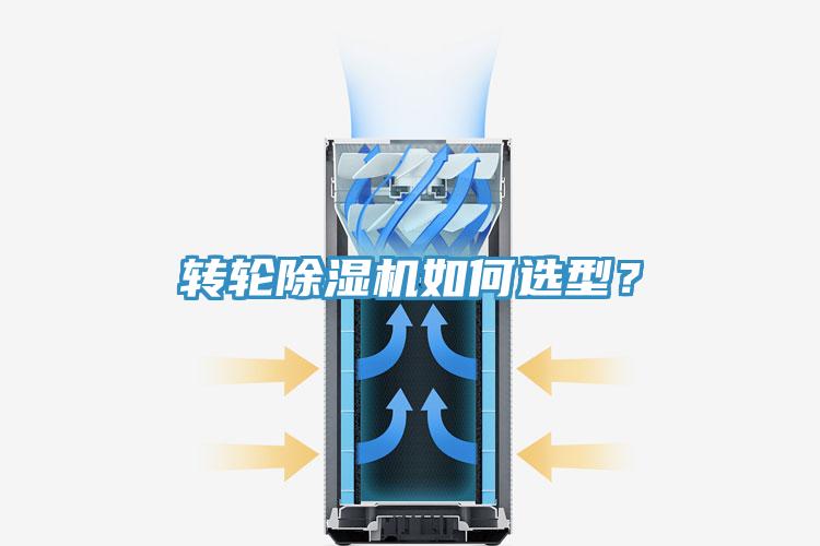 轉輪91看片软件大全如何選型？
