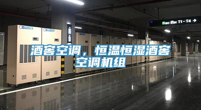 酒窖空調，恒溫恒濕酒窖空調機組