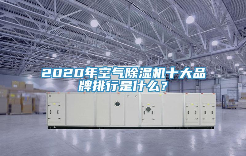 2020年空氣91看片软件大全十大品牌排行是什麽？