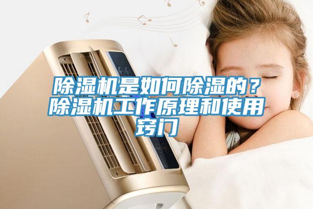 91看片软件大全是如何除濕的？91看片软件大全工作原理和使用竅門