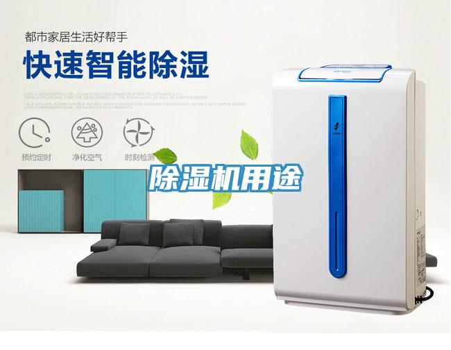 91看片软件大全用途