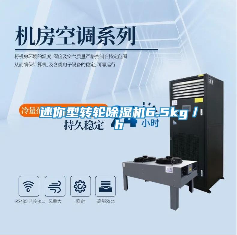迷你型轉輪91看片软件大全6.5kg／h