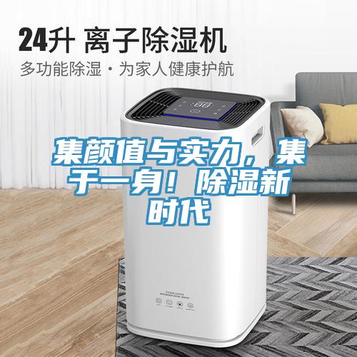 集顏值與實力，集於一身！除濕新時代