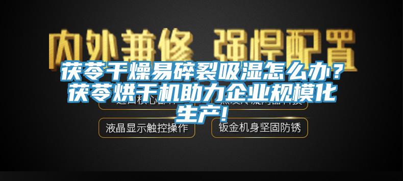 茯苓幹燥易碎裂吸濕怎麽辦？茯苓烘幹機助力企業規模化生產!