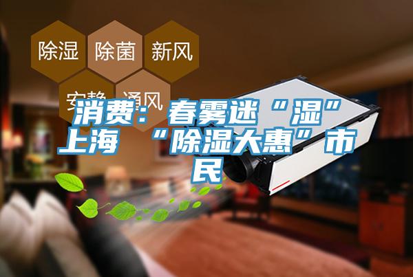 消費：春霧迷“濕”上海 “除濕大惠”市民