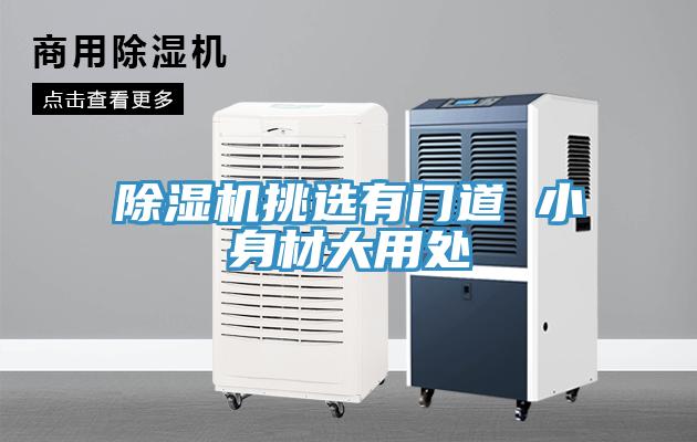 91看片软件大全挑選有門道 小身材大用處