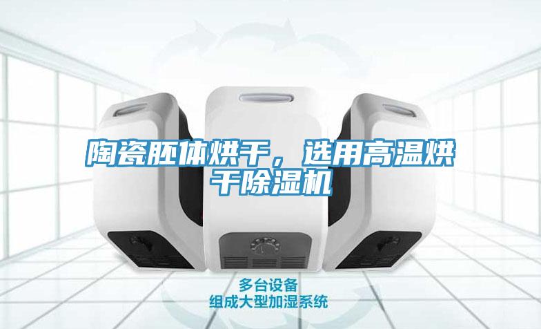 陶瓷胚體烘幹，選用高溫烘幹91看片软件大全