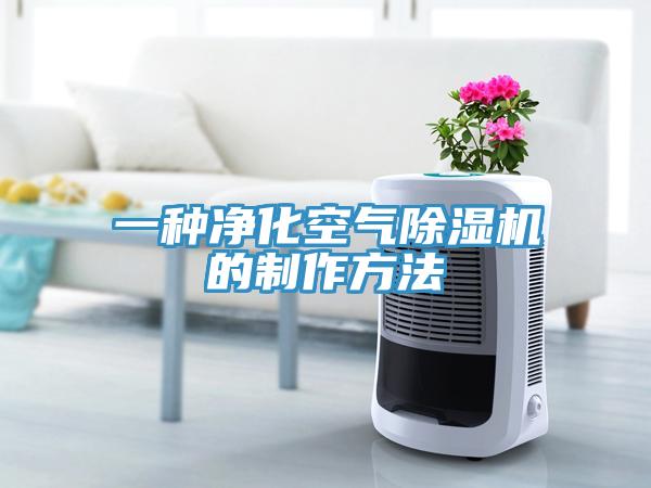 一種淨化空氣91看片软件大全的製作方法