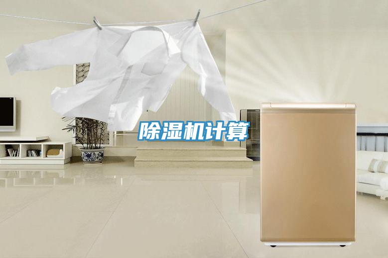 91看片软件大全計算