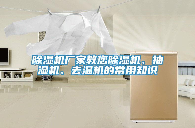 91看片软件大全廠家教您91看片软件大全、抽濕機、去濕機的常用知識