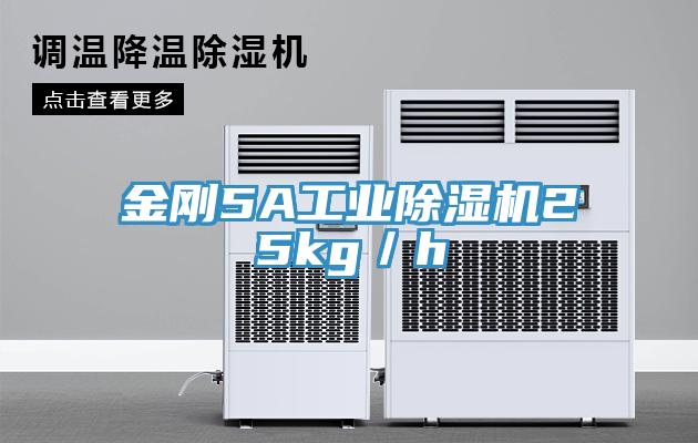 金剛5A工業91看片软件大全25kg／h